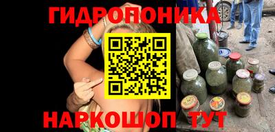 шишки Рязань